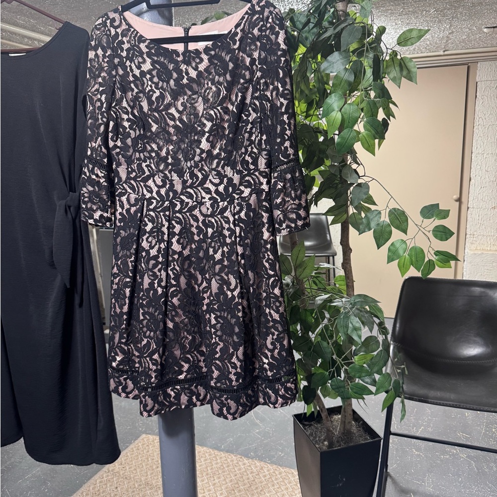 Elegant Black Lace Dress